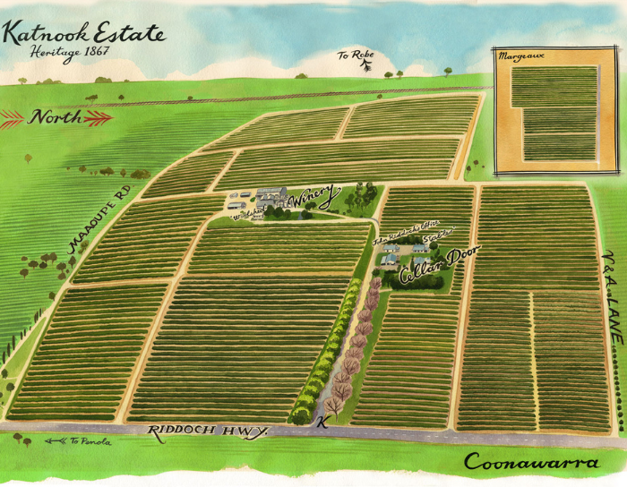 Katnook Estate Wines Vineyard
